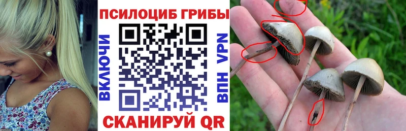 Псилоцибиновые грибы ЛСД  магазин  наркотиков  Сольцы 